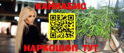шишки Будённовск