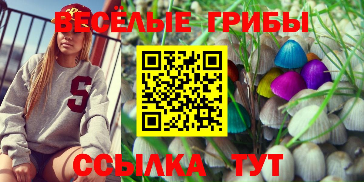 Медногорск  Галлюциногенные грибы ЛСД  закладки  Вход с VPN 